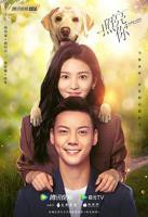 《照亮你》全集高清在线观看免费观看