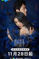 电视剧《婚内婚外》在线免费观看全集完整版