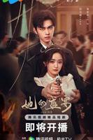 她的盛宴电视剧免费观看全集在线播放高清